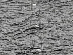 EXIT Trampolin Abdeckplane D253cm*Exit Toys Sale