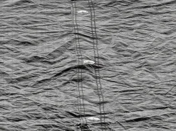 EXIT Trampolin Abdeckplane D244cm*Exit Toys Sale