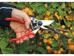 Einhand-Baum-, Reb-, Gartenschere 9 für Linkshänder*Felco Online