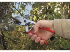 Einhand-Baum-, Reb-, Gartenschere 31 mit Amboss*Felco Clearance