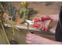 Ernte- und Leseschere 300*Felco Discount