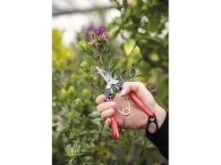Felco Gartenscheren|Baumscheren|Ernte- und Leseschere 322 mit Stahlgriffen 19 cm