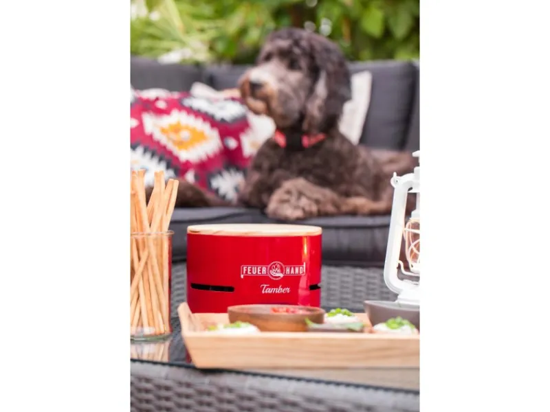 Tischgrill Tamber Ø 20 cm*Feuerhand