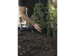 Blumenrechen Solid mit 3 Zinken*Fiskars Best