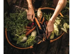 Erntekorb Plus Schwarz-Orange*Fiskars Best