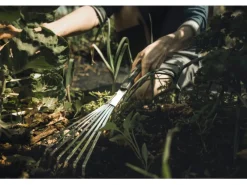 Hand-Fächerbesen Xact mit 7 Zinken*Fiskars Hot