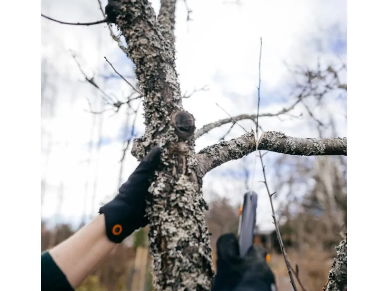 Fiskars Gartensägen|Klappsäge Plus SW69 21 cm