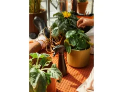 Pflanzensprüher 0,3 l*Fiskars