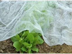 Floraworld Gartenvliese|Garten-/Wintervlies 10 m x 1,5 m