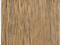 Schilfrohrmatte 90 cm x 600 cm*Floraworld Online