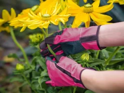 Floristikhandschuh PVC-Benoppung Größe 7* Sale