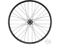 Fahrrad Vorderrad 29 Zoll mit 6 Loch Disk Aufnahme Abmessung 622x19mm*FORCE Outlet