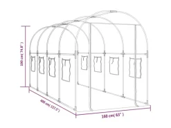 Gewächshaus Transparent 160x400x190 cm PVC & Stahl*furnicato