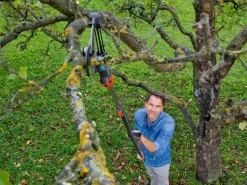 Gardena Baumscheren|Gartenscheren|Garden Combisystem-Bypass-Baumschere