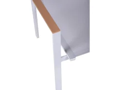 Garden Pleasure Gartenstühle|Stapelstuhl Venice 2er-Set Hellgrau