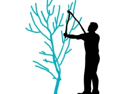 Astschere Premium 700 Bypass 40 mm Schnittstärke*Gardena