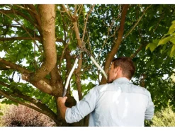 Astschere Premium 700 Bypass 40 mm Schnittstärke*Gardena