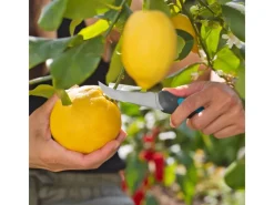 Gardena Baumscheren|Erntemesser VeggieCut inkl. Gürtelholster mit integriertem Schleifstein