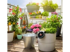 Gardena Wasserpumpe|Bewässerungssysteme|Solar-Bewässerung Aqua Bloom Set