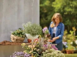 Stiel ClickUp!*Gardena Sale