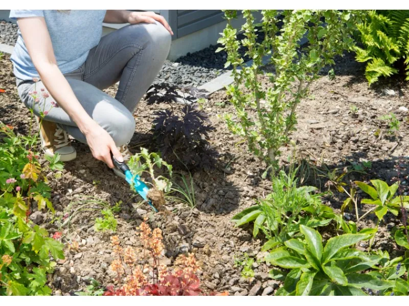 Unkrautstecher*Gardena Outlet