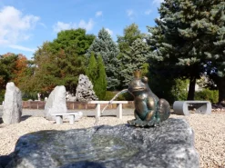 Gartenbrunnen Komplett-Set Froschkönig Otto* Online