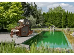 Strandkorb Westerland Mahagoni Bullauge PE Grey Dessin 534*GarWoh Outlet