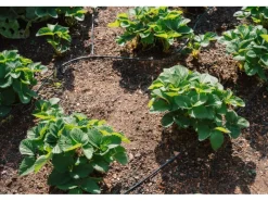 Drip Set Bewässerungssystem Gemüse-/Blumenbeet Ø 6 mm*Geka Hot