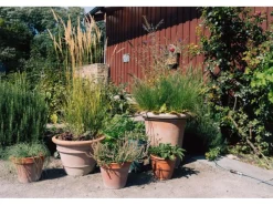 Geka Bewässerungssysteme|Drip Versorgungsrohr Ø 6 mm x 15 m