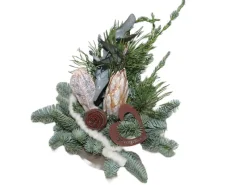 Grabschale mit Protea Topf Ø 15 cm Natur* Outlet