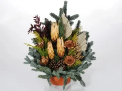 Grabschale Nobilis 22 cm Garniert Natur* Hot