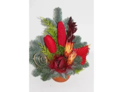 Grabschale Nobilis Topf ca. 15 cm*