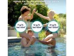 Gre Pooltechnik|3 in 1 Salzelektrolyseanlage für Pools bis zu 60 m³ Grau