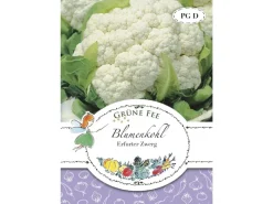 Grüne Fee Spaten|Blumenkohl Erfurt Saatgut