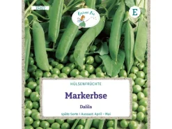 Grüne Fee Spaten|Markerbse Spät & Niedrig Dalila Saatgut