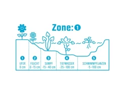 GROW by OBI Spaten|Gartenorchidee Topf-Ø 9 cm Bletilla var.