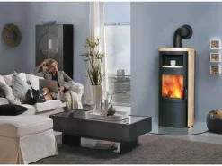 Vito WW GT ECOplus Kaminofen Ofenkacheln 14 kW wasserführend*Hark New