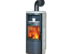 Vito WW GT ECOplus Kaminofen 14 kW wasserführend*Hark New