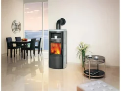 Vito WW GT ECOplus Kaminofen 14 kW wasserführend*Hark New