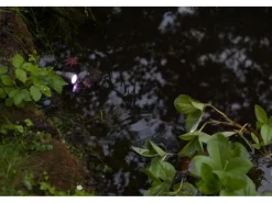 Heissner Rund Um Den Teich|SMART LIGHT  LED-Spot für Teich Pool und Garten 3 Watt Multicolor