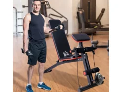 HOMCOM Fitnessgeräte|Multifunktion Hantelbank mit Feder Booster bis 120kg Schwarz 54 x 160 x 106cm