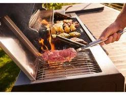 Jamestown-Grill Gasgrills|Jamestown 6-Brenner Gasgrill Knox