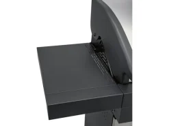 Jamestown-Grill Gasgrills|Jamestown 2-Brenner Gasgrill Maddox