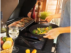 Jamestown-Grill Gasgrills|Jamestown 2-Brenner Gasgrill Maddox