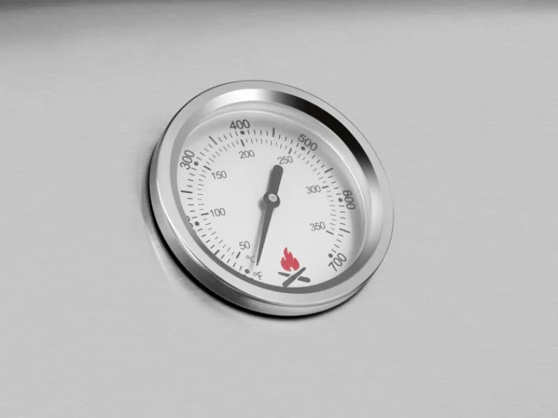 Jamestown 2-Brenner Gasgrill Kane*Jamestown-Grill Discount