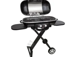 Jamestown-Grill Gasgrills|Jamestown 2-Brenner Gasgrill Myles