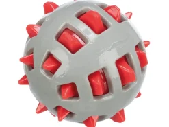 Jollypaw Outdoor-Spielzeug|Ball mit Noppen TPR Ø 10 cm Grau