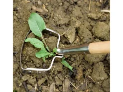 Kent und Stowe Gartenhandgeräte|Rechen|Kent & Stowe Pendelhacke mit Langstiel 160 cm