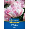 Kiepenkerl Spaten|Blumenzwiebel Profi-Line Gefüllte späte Tulpe Finola 5 Stück