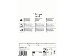 Kiepenkerl Spaten|Blumenzwiebel Profi-Line Gefüllte späte Tulpe Finola 5 Stück